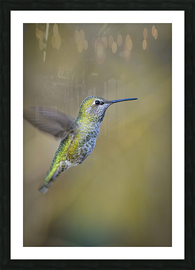 20230318 181  Picture Frame print