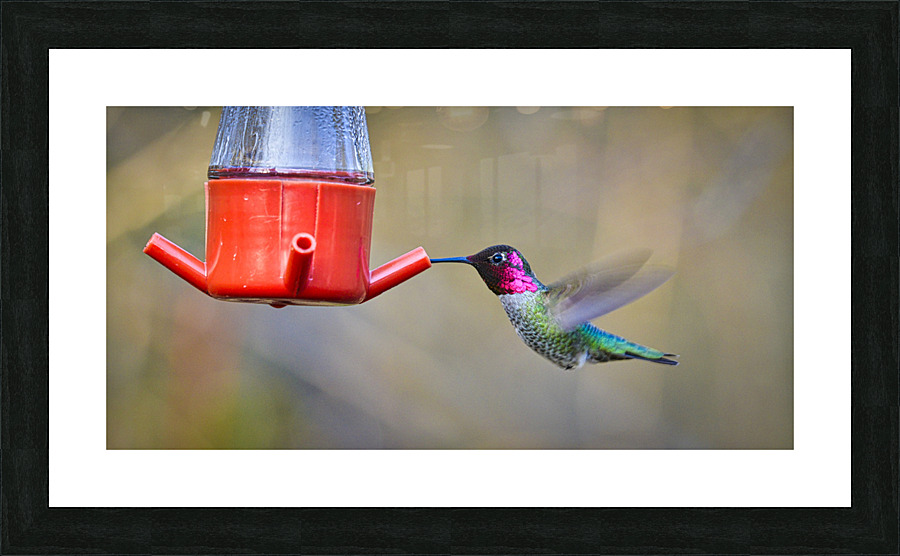 20230318 265  Picture Frame print