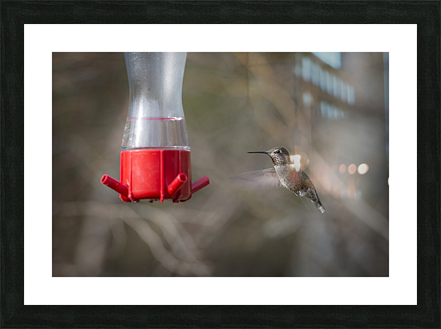 20230317 161  Picture Frame print