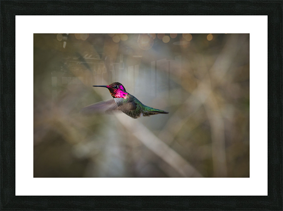 20230317 07 Picture Frame print