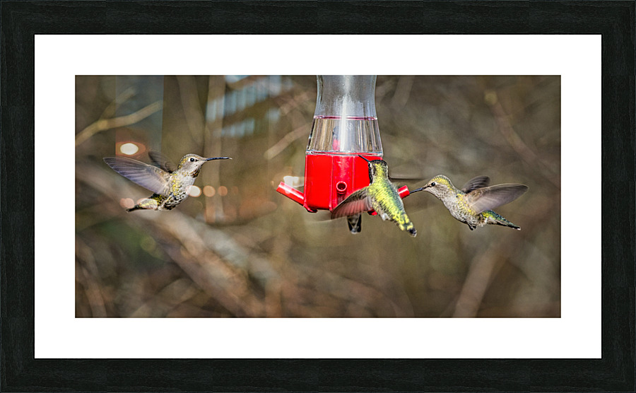 FS230317 Picture Frame print
