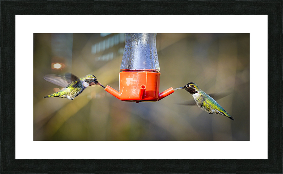 20230318 039 Picture Frame print