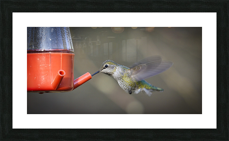 20230318 015  Picture Frame print