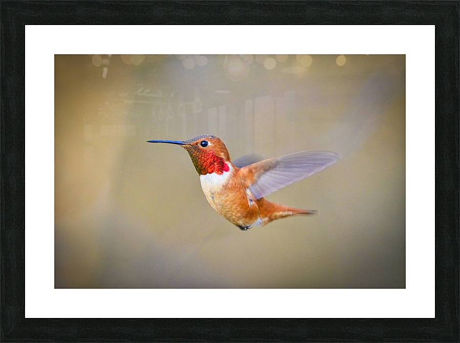 20230318 207  Picture Frame print