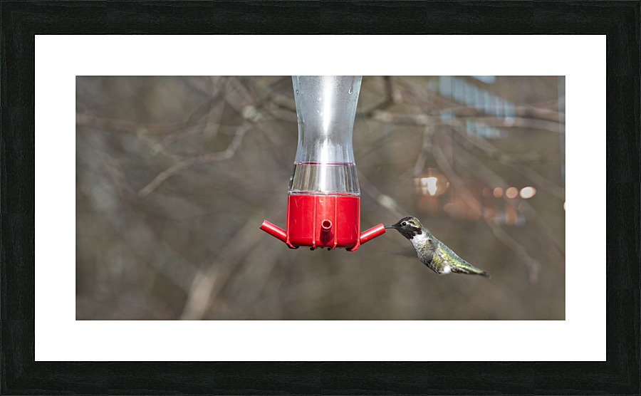 20230317 246 Picture Frame print