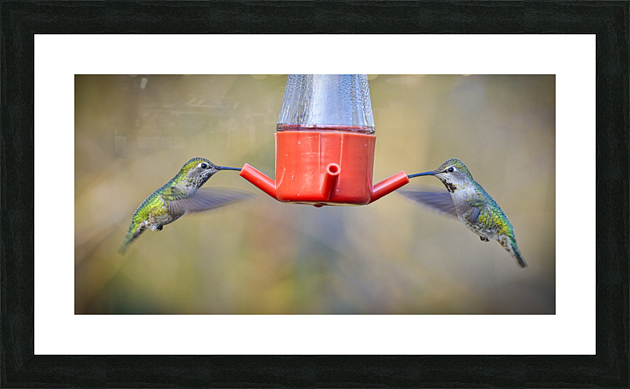 20230318 235  Picture Frame print
