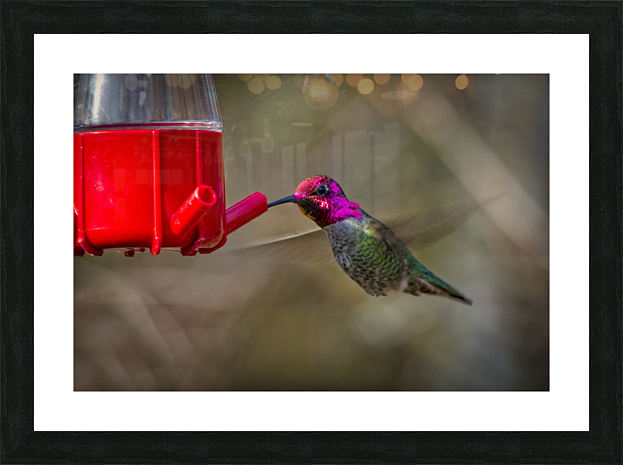 20230317 02 Picture Frame print
