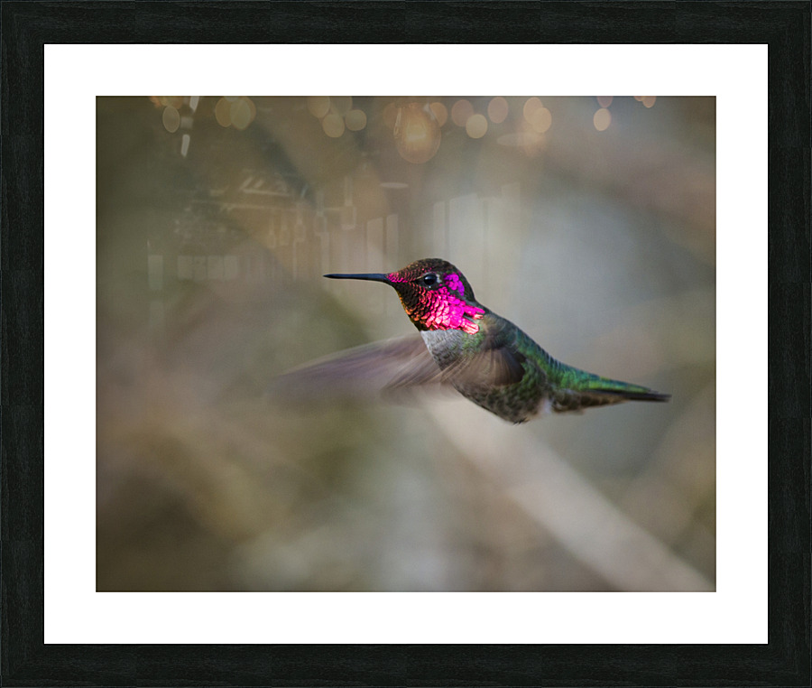 20230317 07 2 Picture Frame print