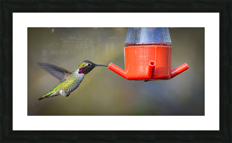 20230318 127  Picture Frame print