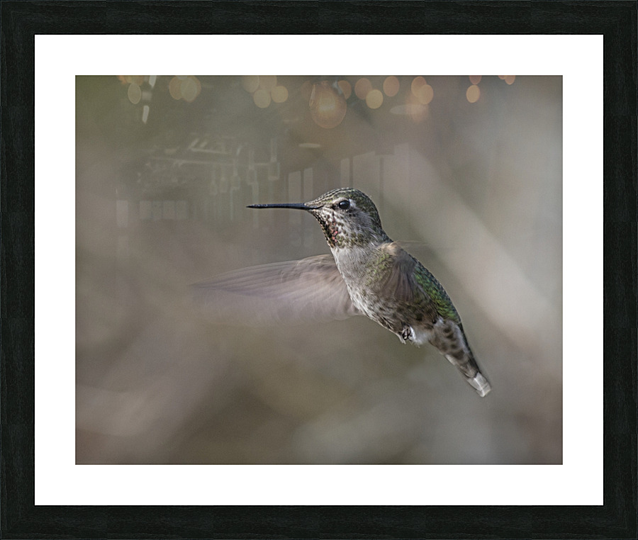 20230317 16 Picture Frame print