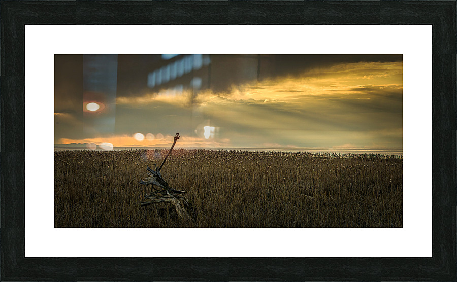 FS230322 WD Picture Frame print