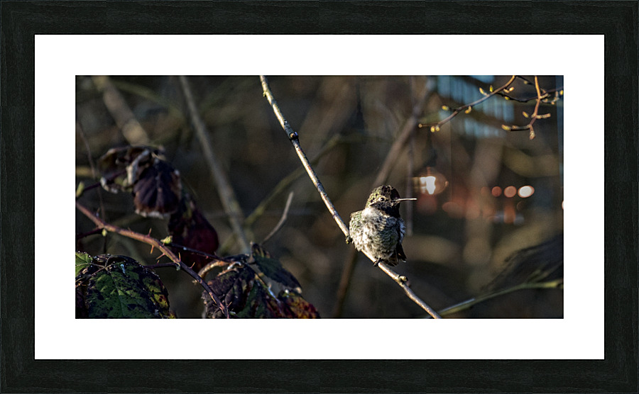 20230321 144 Picture Frame print