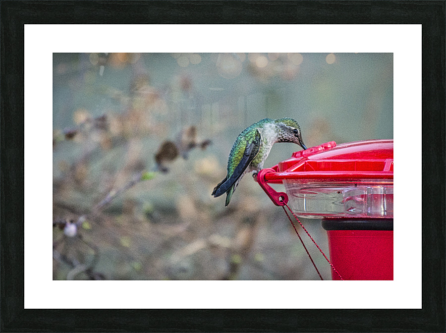 20230321 201 Picture Frame print