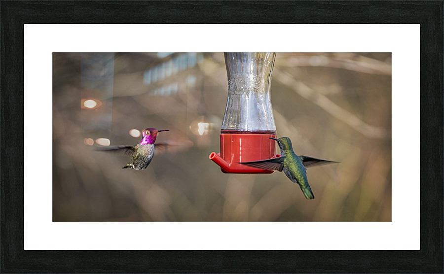 20230322 381 Picture Frame print