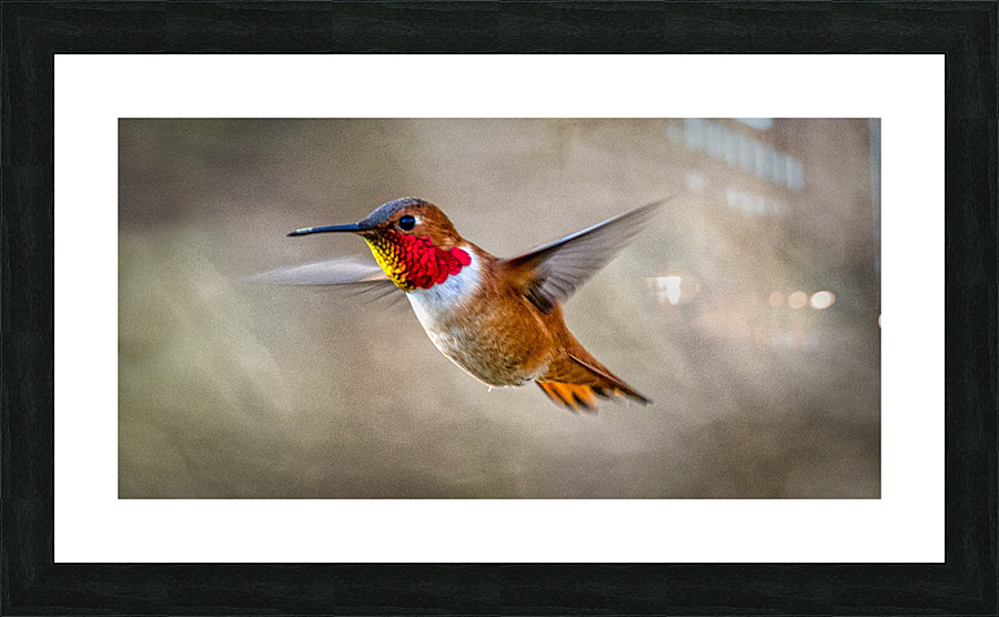 FS230322 360 2 Picture Frame print