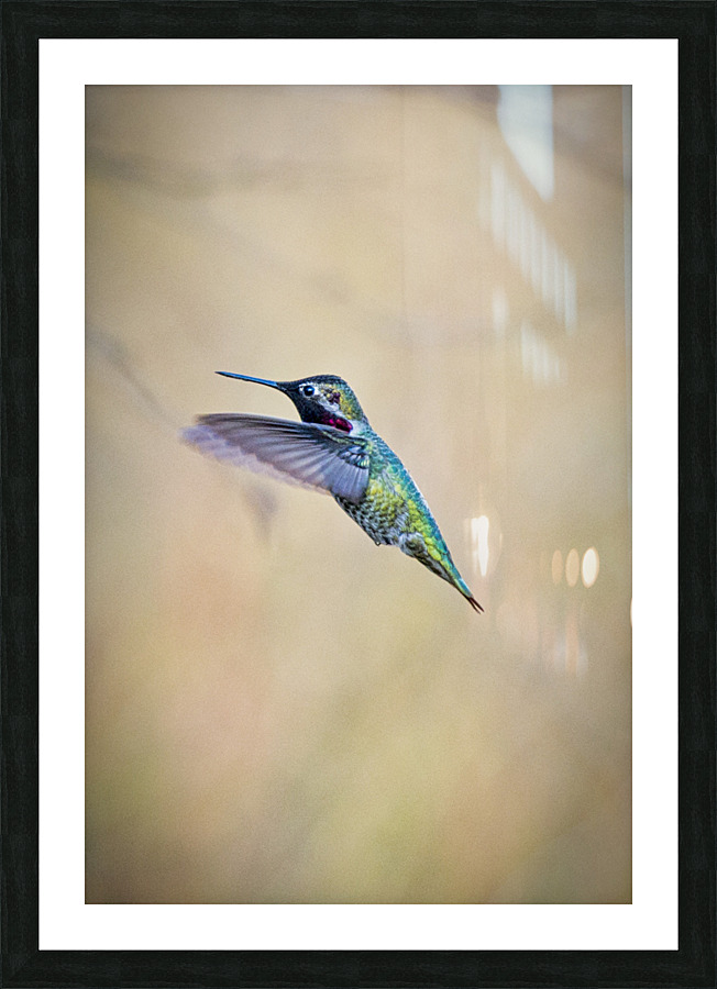 20230322 437 Picture Frame print