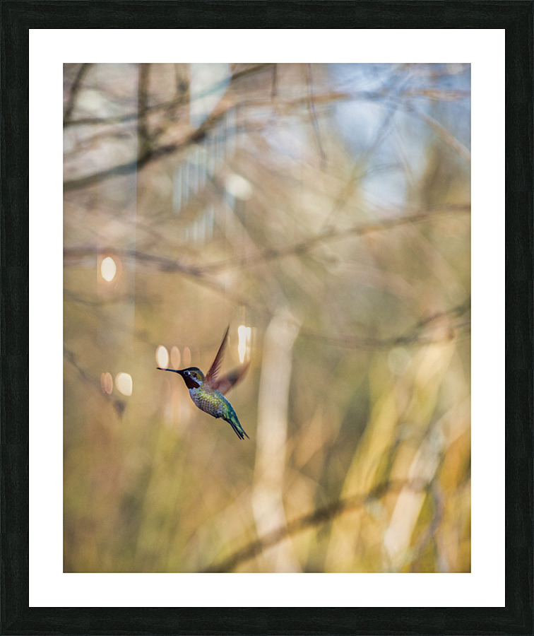 20230322 416 Picture Frame print