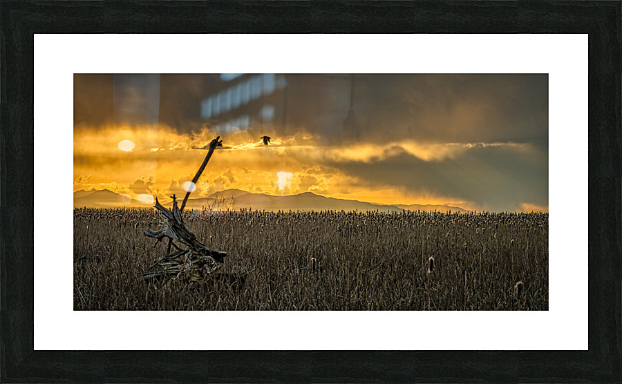 FS230322 538 Picture Frame print