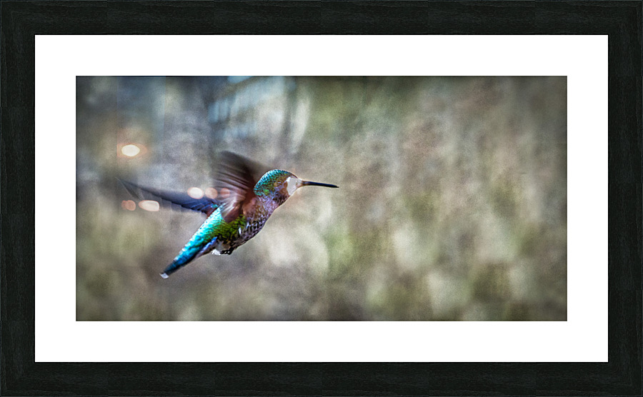 FS230322 DW Picture Frame print