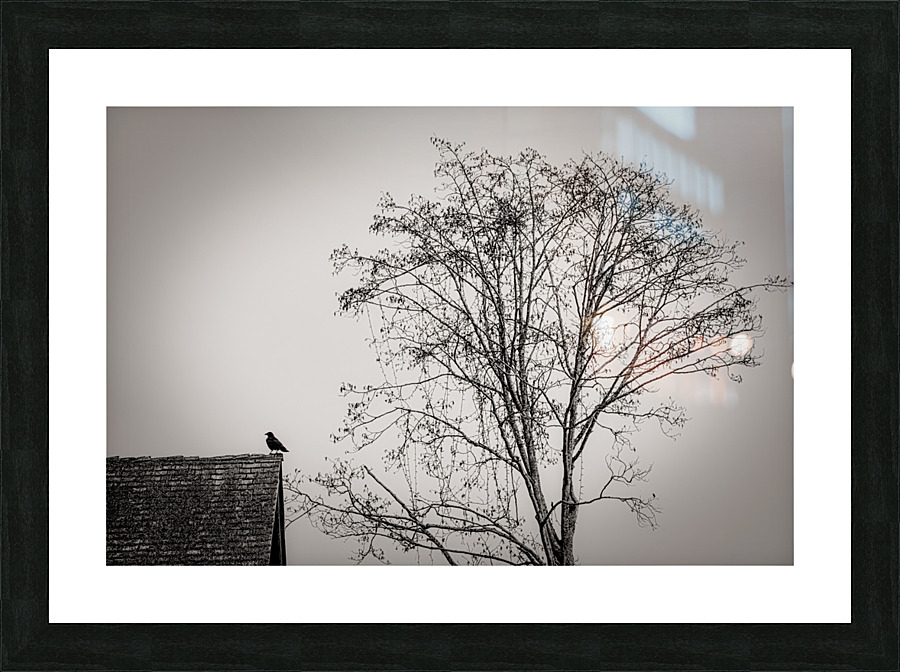 FS230317 MONO Picture Frame print