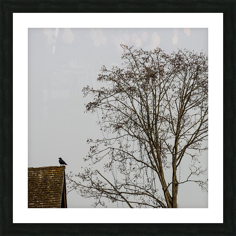FS230317S Picture Frame print