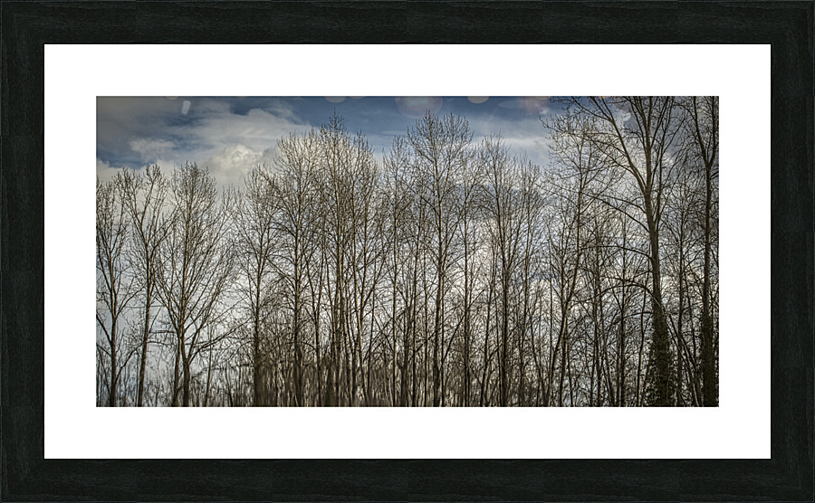 STILL CREEK Picture Frame print