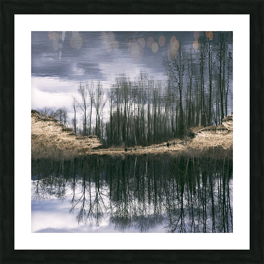 FS230306S2 Picture Frame print