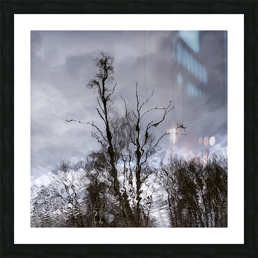 FS230306 009 Picture Frame print