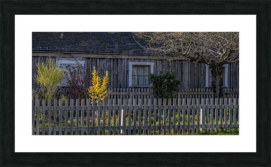 FS230401 240 Picture Frame print