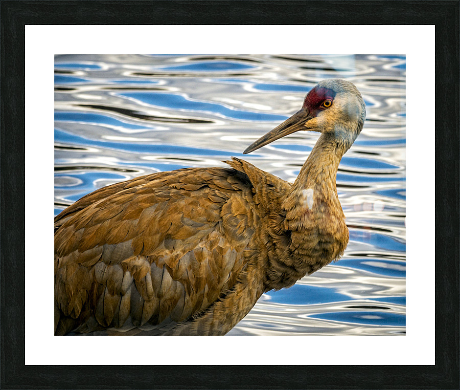 FS230401 159 Picture Frame print