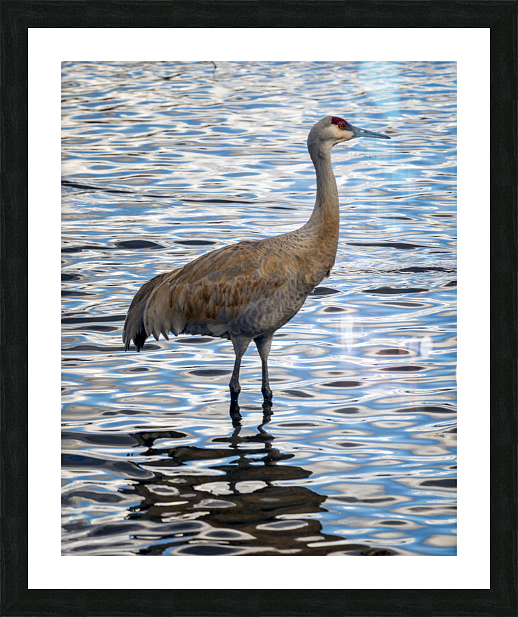 FS230401 192 Picture Frame print