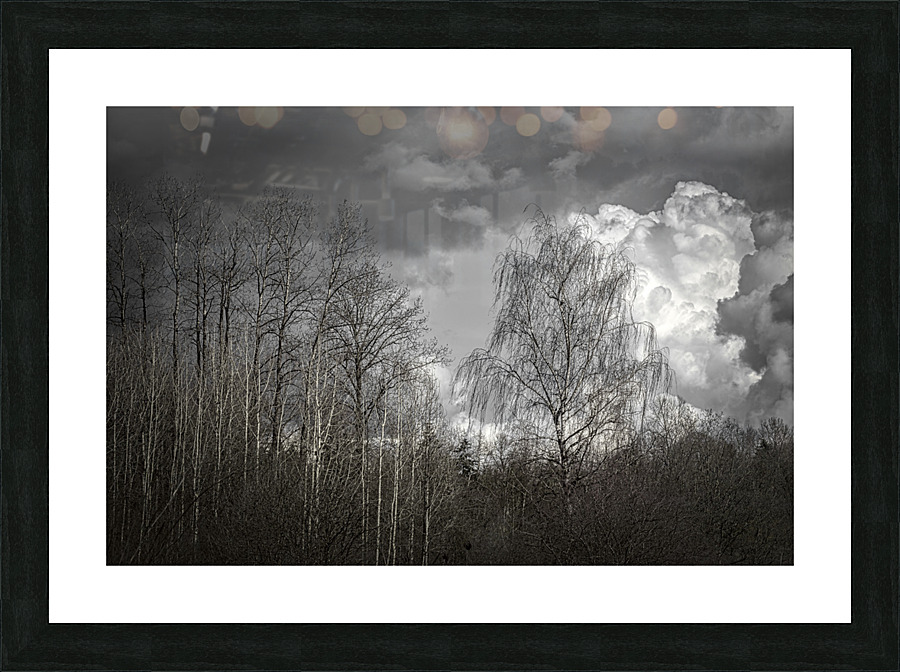FS230401 140 Picture Frame print