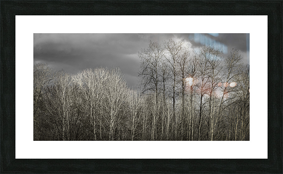 FS230401 138 Picture Frame print