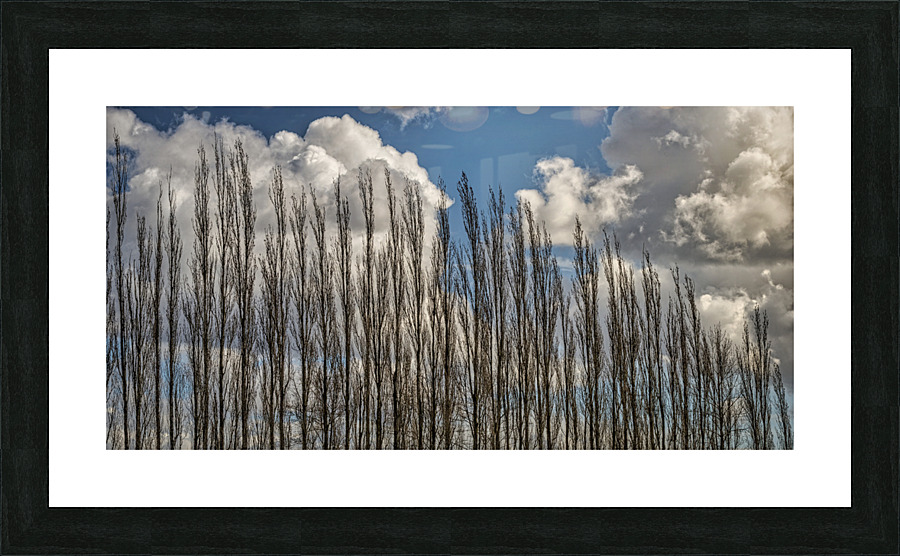 FS230401 099 Picture Frame print