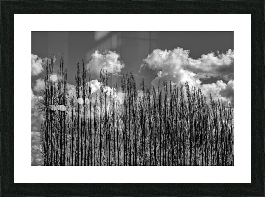 FS230401 104 Picture Frame print