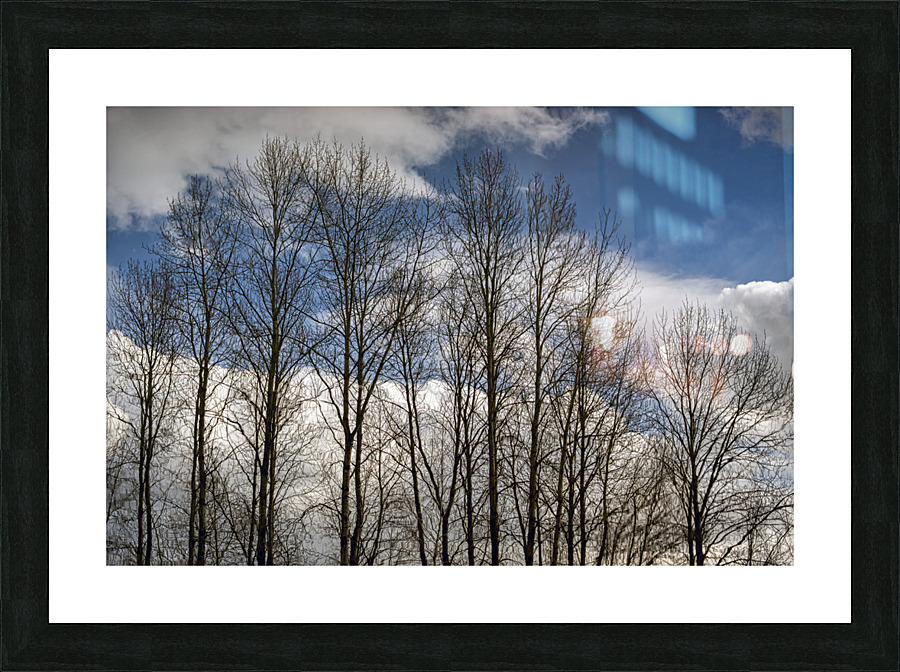 FS230307 030 Picture Frame print