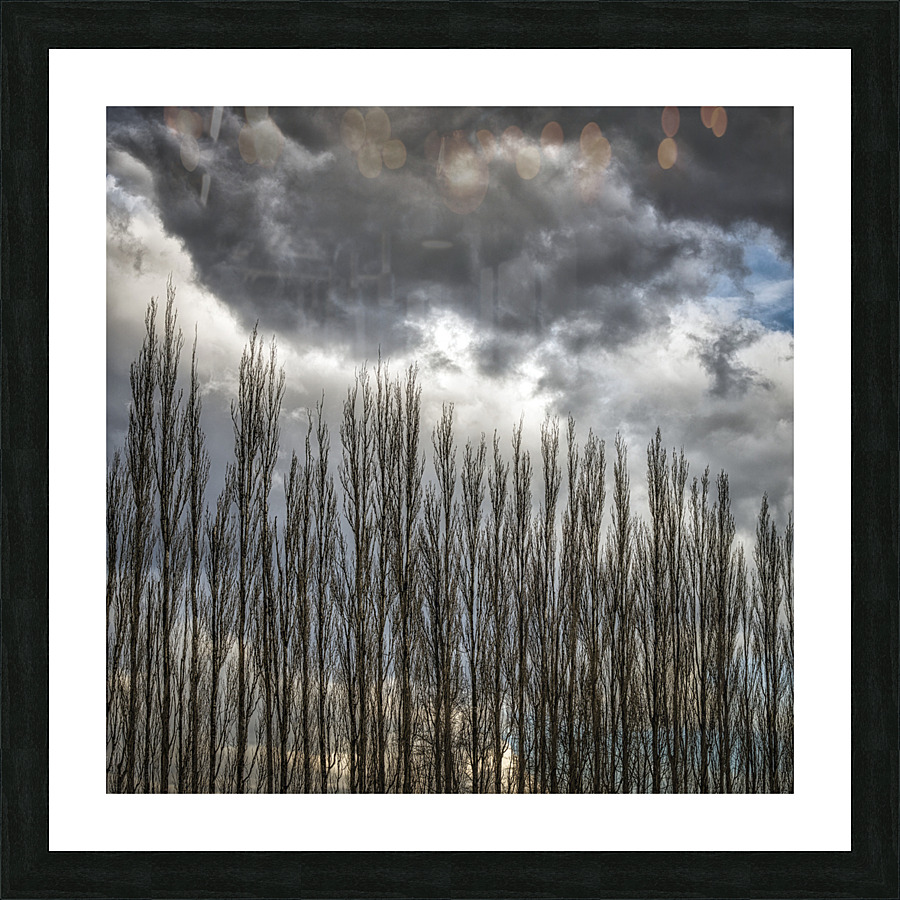 FS230307 178 Picture Frame print
