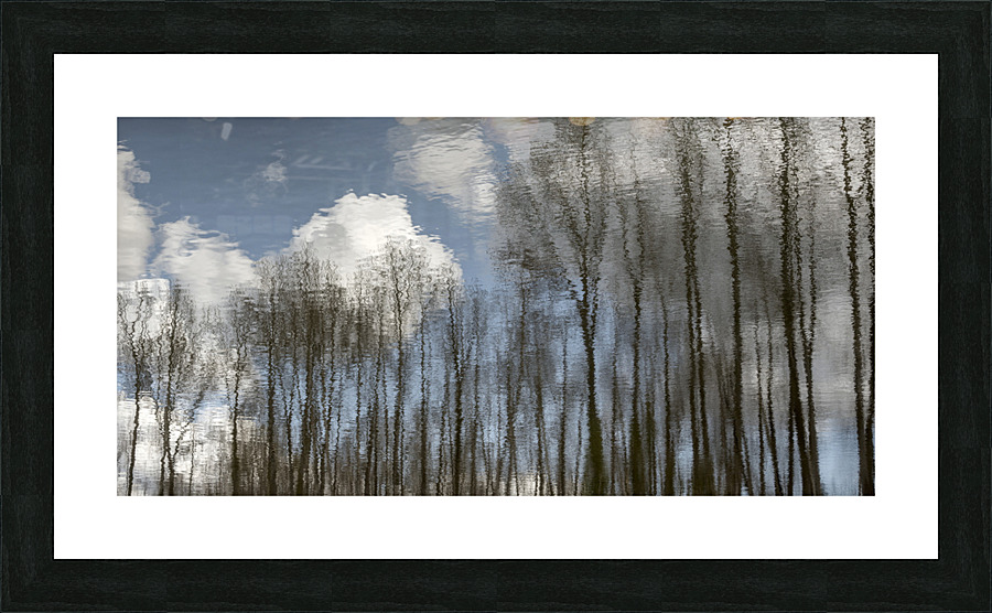 FS230401 151 Picture Frame print