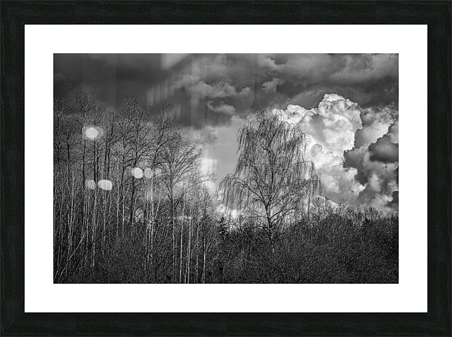 FS230401 141 Picture Frame print