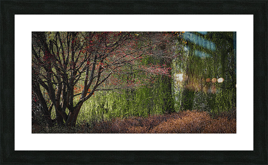 FS210415DW5 Picture Frame print