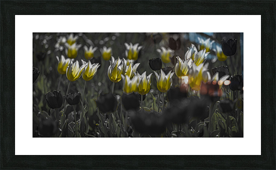 FS210501 232 Picture Frame print