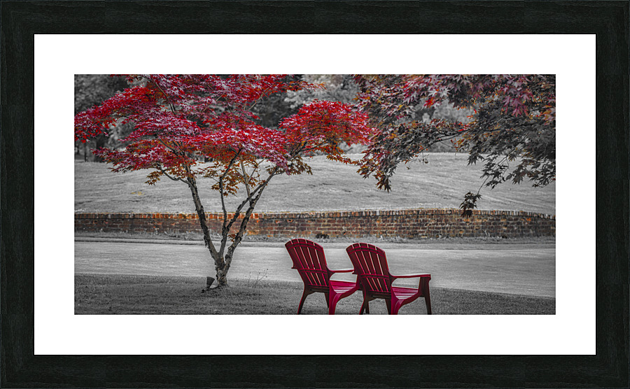 MAPLE TREES AND RED CHAIRS Picture Frame print