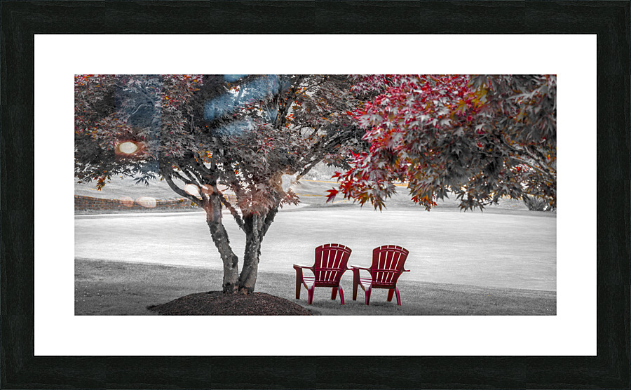 RED CHAIRS UNDER MAPLE TREES Picture Frame print