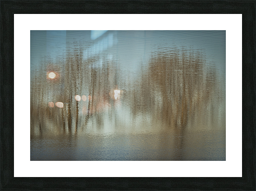 FS230404 045 Picture Frame print