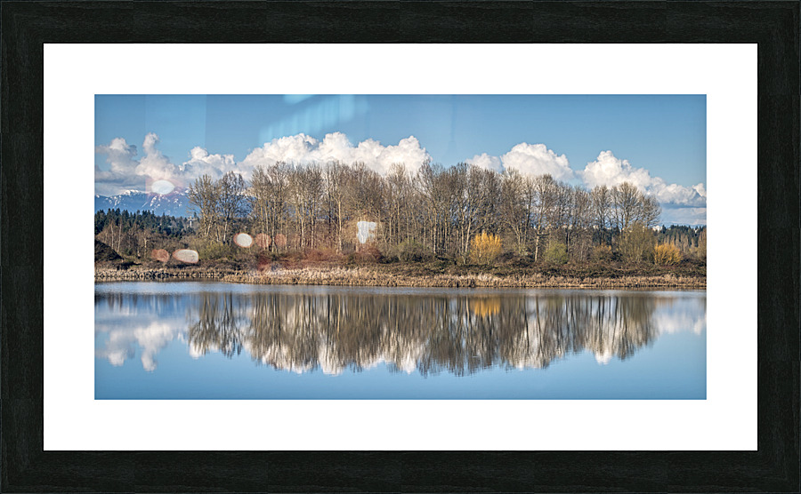 FS230404DW Picture Frame print