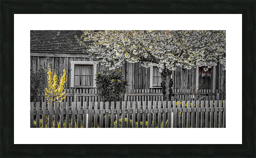 FS230419 THE BACKYARD Picture Frame print