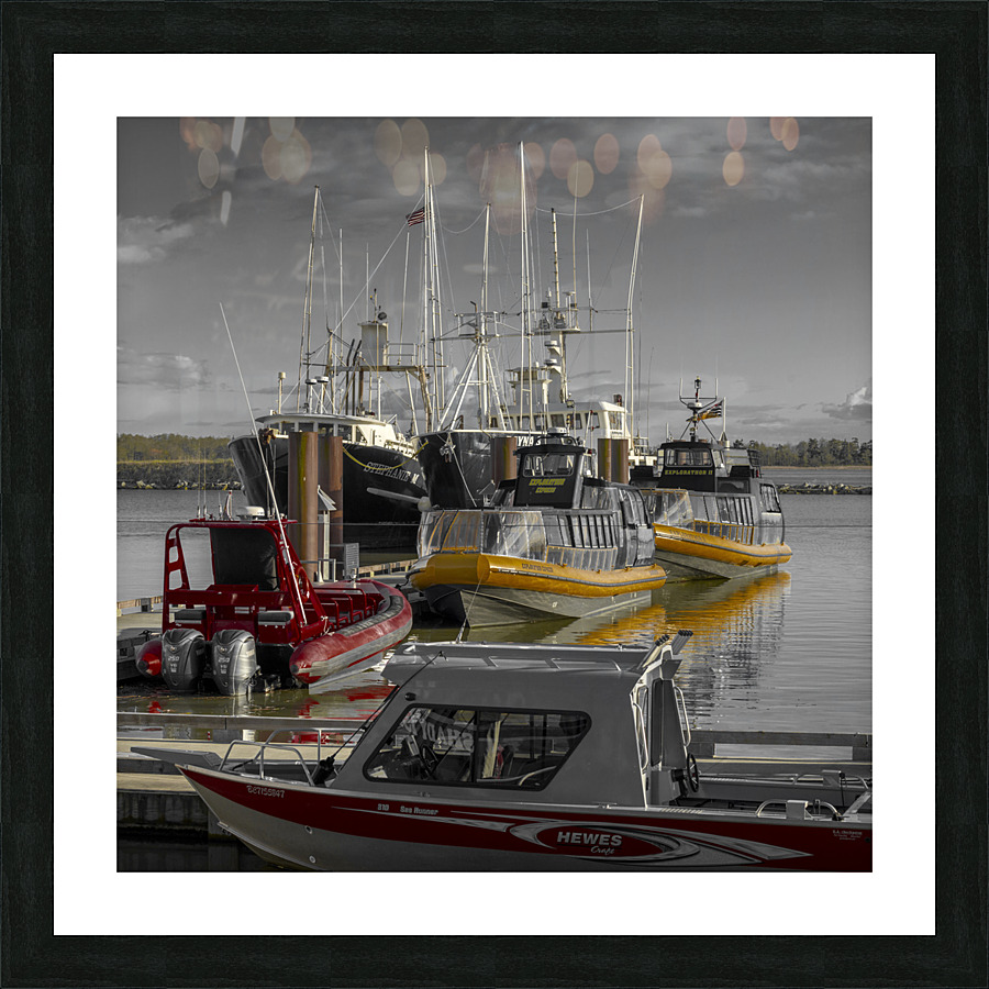 FS230419 02 Picture Frame print