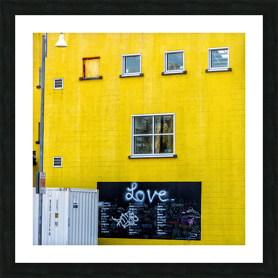FS230503S Picture Frame print