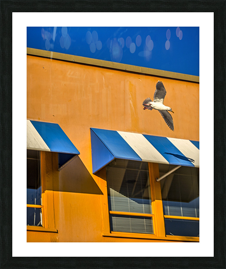 SUMMER DAY Picture Frame print