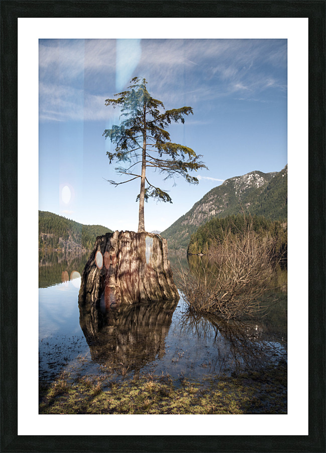 FS130219 112 Picture Frame print